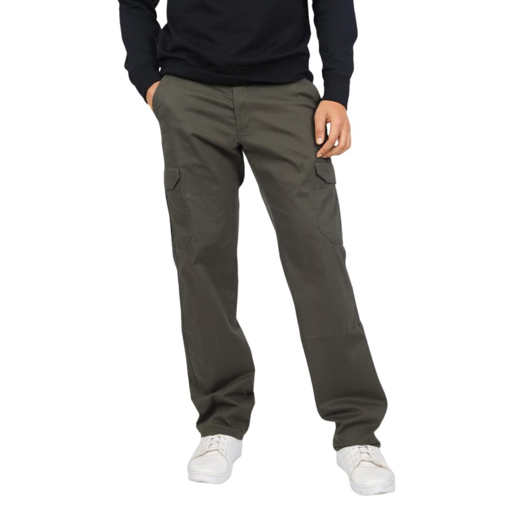 Lee Men's Regular Fit Pants (LMTR003755_Olive Green_30)
